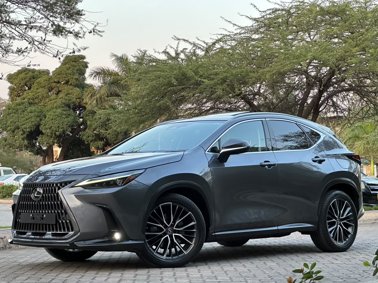 LEXUS NX 450H+ F- SPORT thumbnail 2